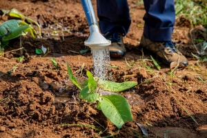 I piani di emergenza contro la siccità sono importanti per salvare 270mila imprese agricole