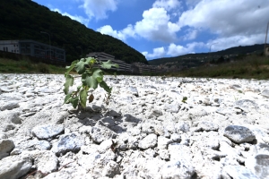 Siccità: Coldiretti, ogni anno perso 89% acqua piovana