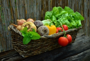 ECONOMIA. DL AIUTI, SOTTOSEGRETARI FRENI E CENTINAIO: "AZZERARE IVA SU GENERI ALIMENTARI PRIMA NECESSITÀ, UN AIUTO CONCRETO A FAMIGLIE BASSO REDDITO"