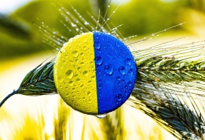 UCRAINA: EXPORT AGRICOLO, LA SOLUZIONE POTREBBE ESSERE PORTI 'A SECCO'