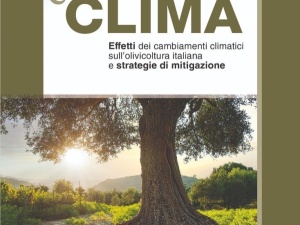 A Lamezia Terme la presentazione di “Olivo & Clima”, il libro di Thomas Vatrano