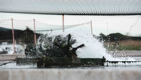 TAVOLETTA: «SULL’ACQUA CONDIVIDIAMO L’APPELLO DI GESMUNDO (COLDIRETTI). IL GOVERNO LA METTA TRA LE PRIORITÀ»